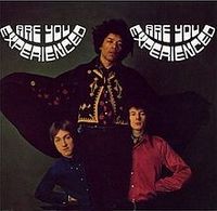 1 Are You Experienced